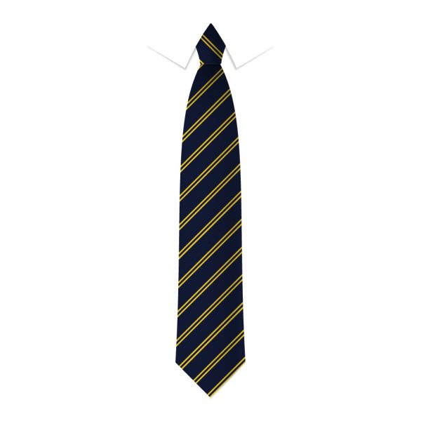 D49 Navy / Gold